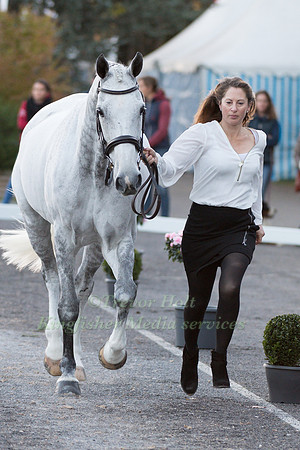 Nicky RONCORONI (GBR) AND STONEDGE