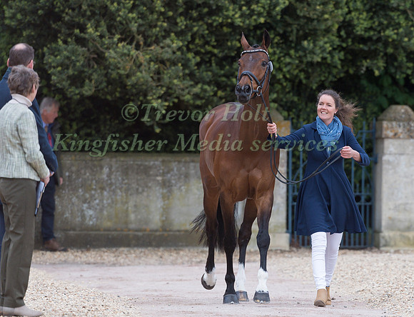Virginia Thompson (NZL) and  Star Nouveau
