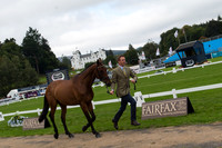 Padraig McCarthy of Ireland with Simon Porloe