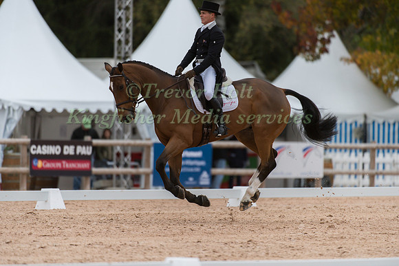 Blyth Tait of New Zealand riding Bear Necessity V