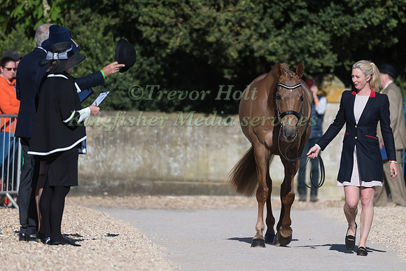 GEORGIE SPENCE (GBR) AND  HALLTOWN HARLEY