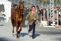 Austin O'Connor and Morning Venture