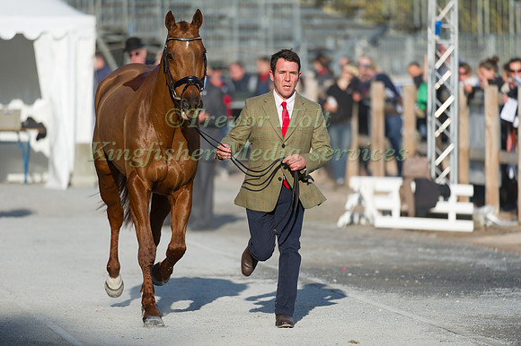 Austin O'Connor and Morning Venture