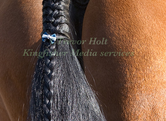 Tail Decoration