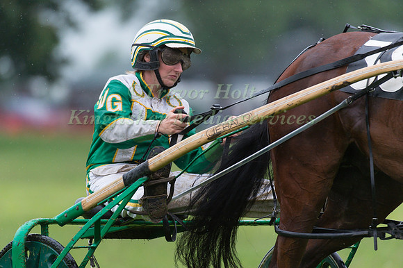 victoria C Gill driving Brywins Magician