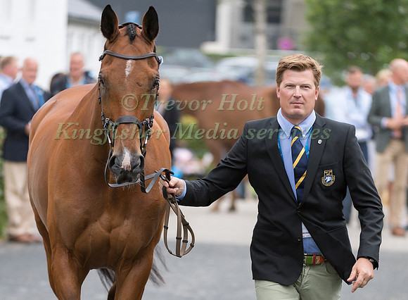 NIKLAS LINDBACK (SWE) AND FOCUS FILIOCUS