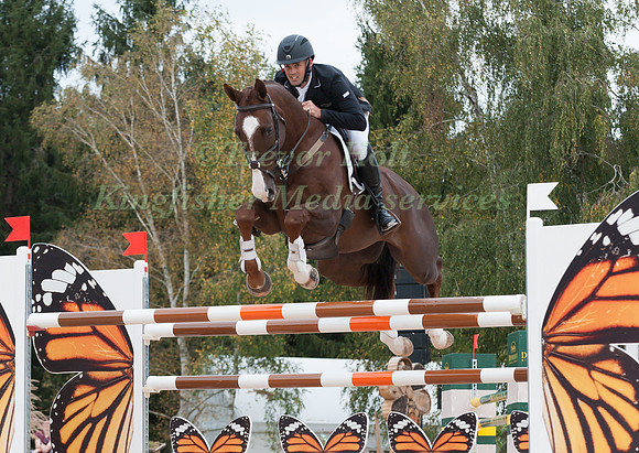 Jonathan Paget (NZL) riding Clifton Signature