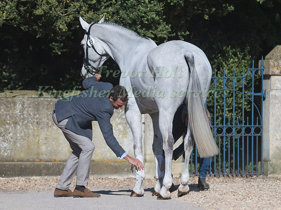 MARK TODD (NZL) AND  KILTUBRID RHAPSODY