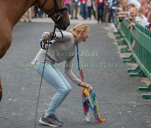 SANDRA AUFFARTH (GER) AND VIAMANT DU MATZ