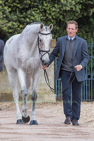 Oliver Townend (GBR) and  Ballaghmor Class