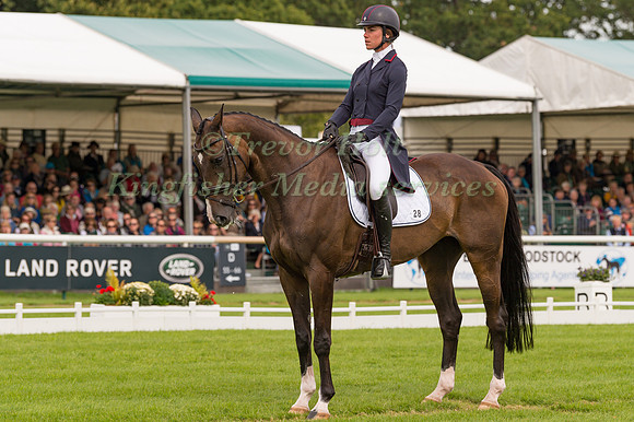 ARIEL GRALD (USA) AND LEAMORE MASTER PLAN