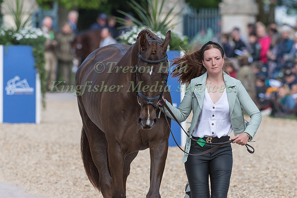 Susie Berry (IRL) and John The Bull