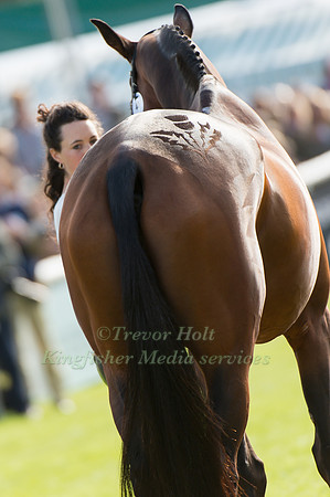 Charlotte Agnew (GBR) and  Out Of Africa Two