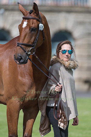 LAURA COLLETT (GBR) AND MR BASS AT THE EQUI-TREK CCI *** FINAL HORSE INSPECTION OF THE 2017 BRAMHAM INTERNATIONAL HORSE TRIALS
