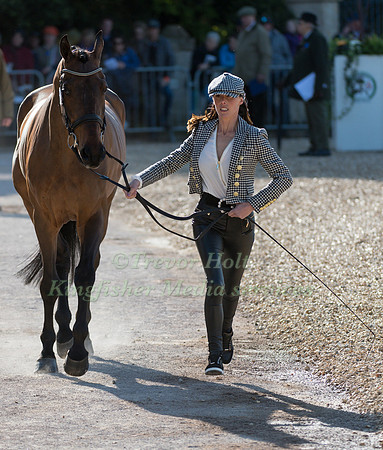 DEE HANKEY  (GBR) AND  CHEQUERS PLAYBOY