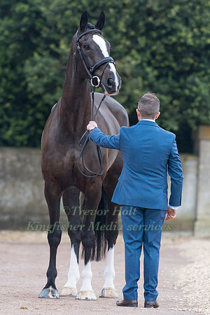 Ben Hobday (GBR) and  Harelaw Wizard
