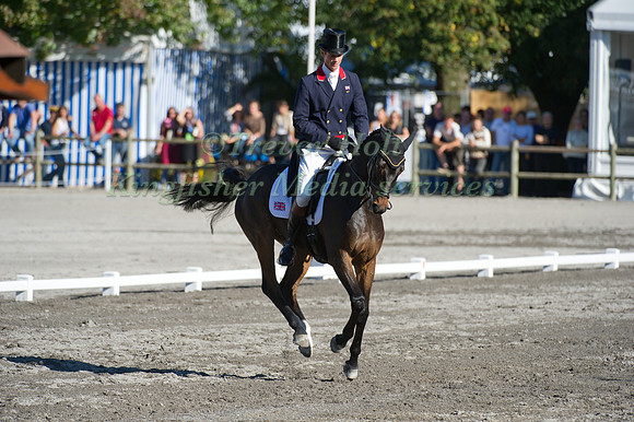 William Fox-Pitt and Lionheart