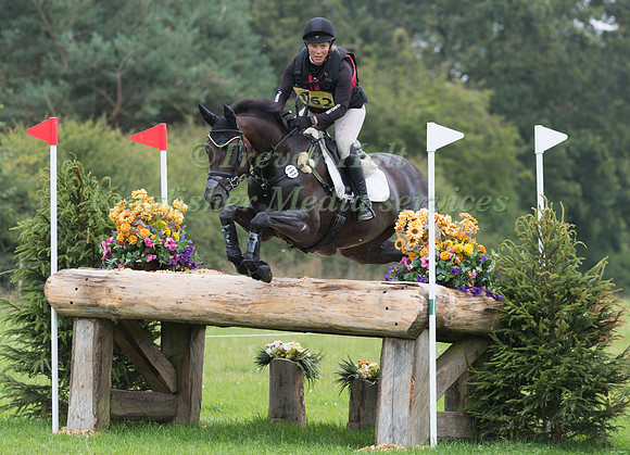 Ali Wilkes AND SOCIAL BUTTERFLY