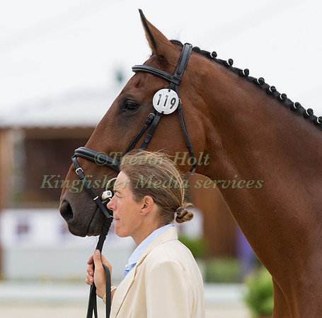 HELENE VATTIER (FRA) AND QUITO DE BALIERE