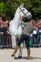 Louisa Milne Home and king Eider