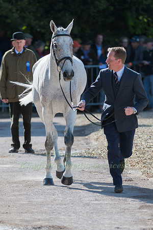 OLIVER TOWNEND (GBR) AND  BALLAGHMOR CLASS