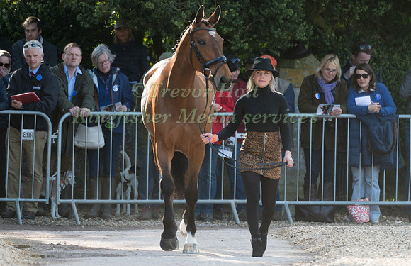 GEORGIE STRANG  (GBR) AND  COOLEY EARL