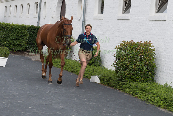 PIGGY FRENCH (GBR) AND QUARRYCREST ECHO