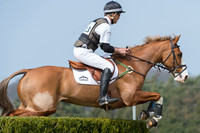 Andrew  Nicholson (NZL) riding Perfect Stranger