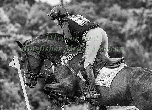 PIGGY FRENCH RIDING SPORTSFIELD TOP NOTCH