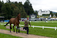 Austin O’Connor of Ireland with Balham Houdini