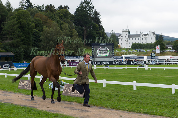 Austin O’Connor of Ireland with Balham Houdini