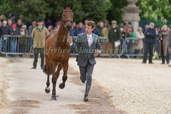 Christopher Burton (AUS) and  TS Jamaimo