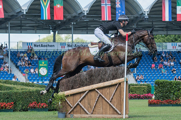 CLARKE JOHNSTONE AND LEOPARD'S ACTION