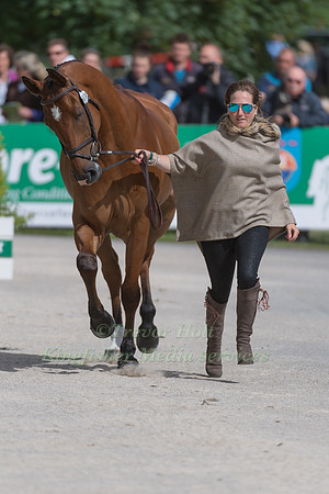 LAURA COLLETT (GBR) AND MR BASS AT THE EQUI-TREK CCI *** FINAL HORSE INSPECTION OF THE 2017 BRAMHAM INTERNATIONAL HORSE TRIALS B
