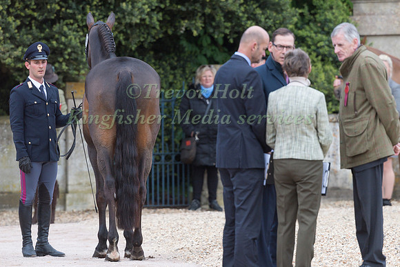 Pietro Sandei (ITA) and  Rubis de Prere