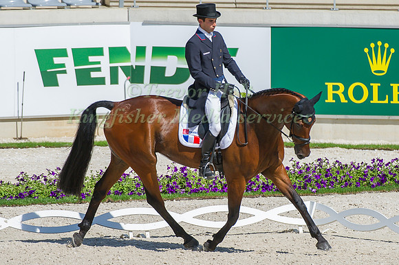 Astier Nicolas riding Piaf de B'Neville taking part in the dressage test