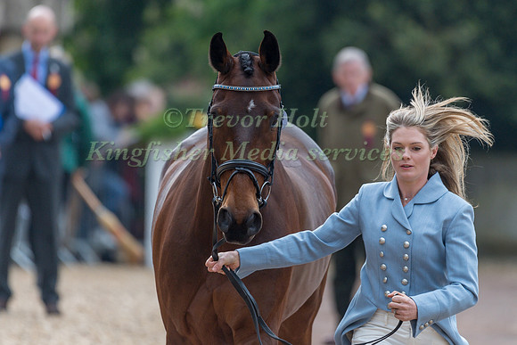 Julia Norman (GBR) and  Carryon Bobby Boy