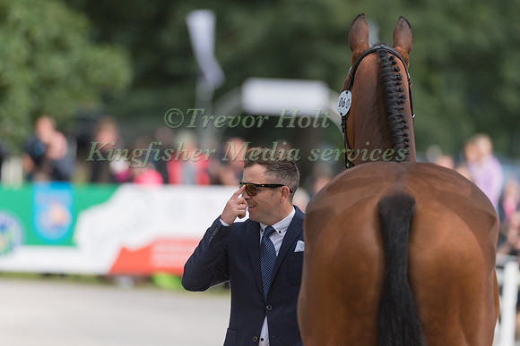 BEN HOBDAY (GBR) AND MULRYS ERROR AT THE EQUI-TREK CCI *** FINAL HORSE INSPECTION OF THE 2017 BRAMHAM INTERNATIONAL HORSE TRIALS