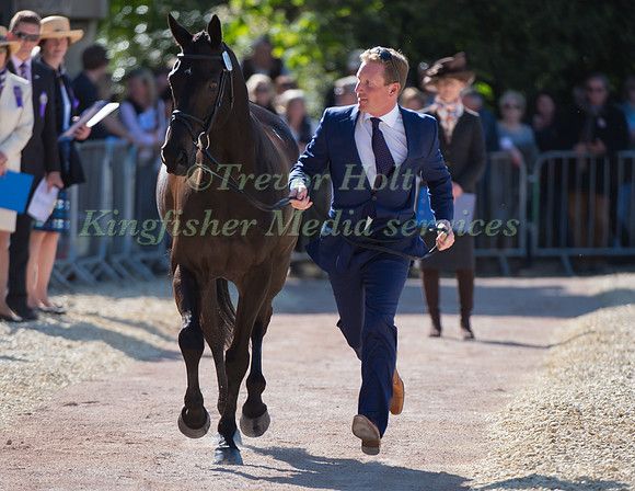 Oliver Townend of Great Britain  and Black Tie