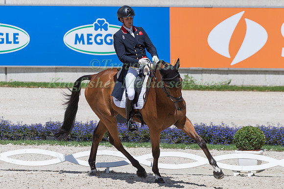 TOM MCEWEN AND TOLEDO DE KERSER