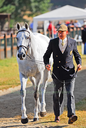 Carl Bouckaert and Rampant Lion