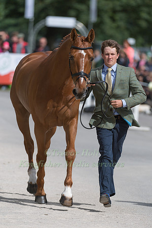 TOM MCEWEN (GBR) AND JOYRIDE AT THE EQUI-TREK CCI *** FINAL HORSE INSPECTION OF THE 2017 BRAMHAM INTERNATIONAL HORSE TRIALS