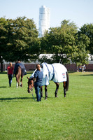 Simon Porloe relaxes before the First Horse inspection