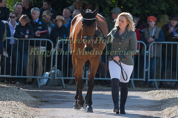 GEMMA TATTERSALL (GBR) AND  ARCTIC SOUL