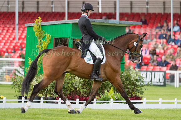Paul Sims (GBR) riding Glengarnock