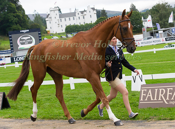 Laura Collett of Great Britain with Grand Manoeuvre