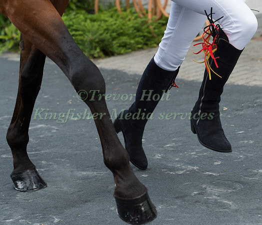 INGRID KLIMKE (GER) AND HORSEWARE HALE BOB -3