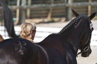 Ingrid Klimke and FRH Butts Abraxxas