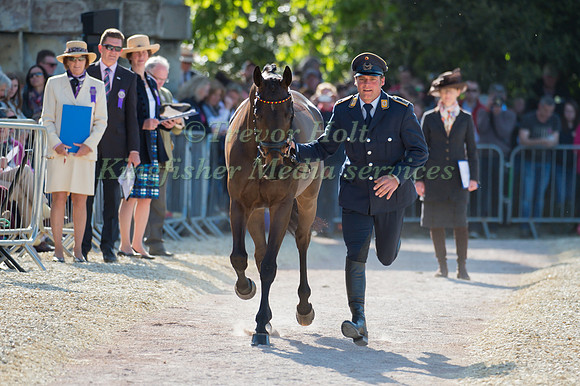 Andreas Ostholt of Germany and So Is Et