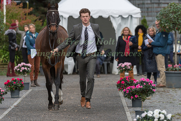 SAM ECROYD (GBR) AND WODAN III
